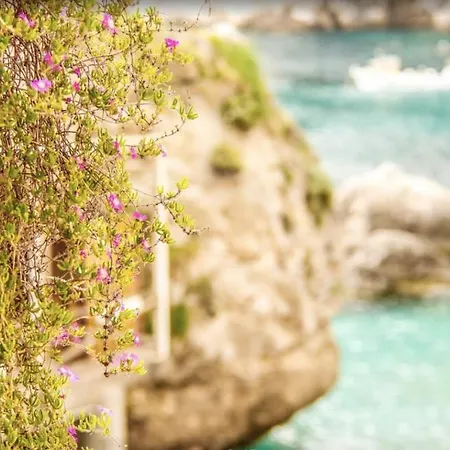 度假居 Magic House On The 卡普里