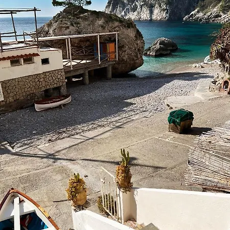 度假居 Magic House On The *