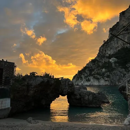 Magic House On The * Capri