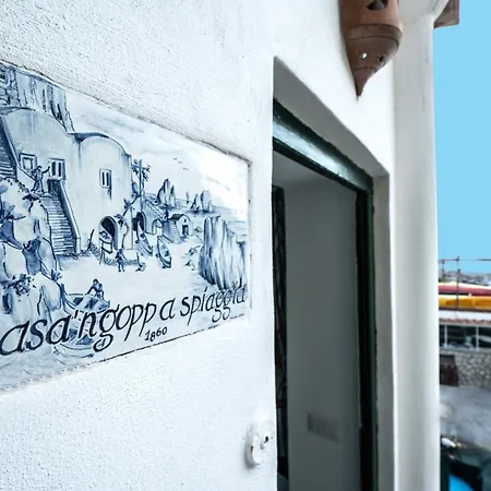 Magic House On The *