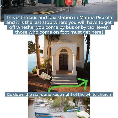 Magic House On The *