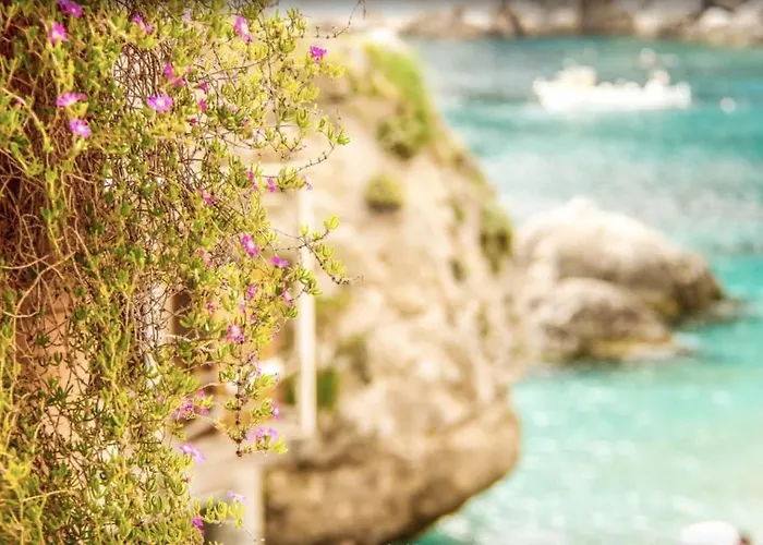 Feriehus Magic House On The Capri