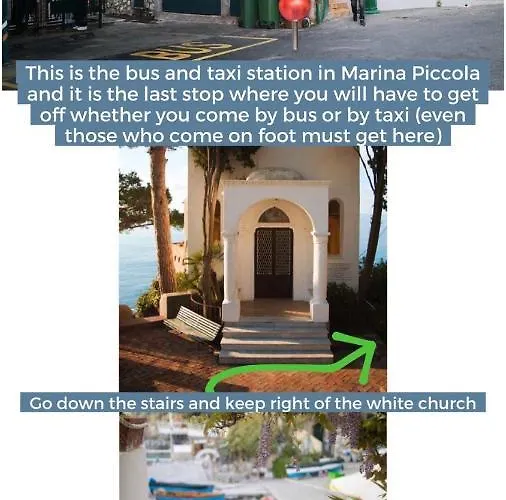 Magic House On The *